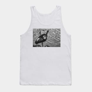 black and white portrait of American white ibis Tank Top